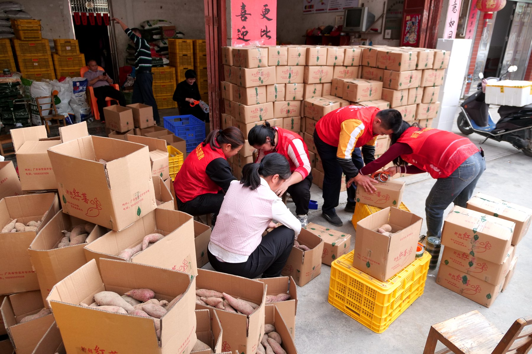 2c9cfeceb799e144d56698e964599ee.jpg 2c9cfeceb799e144d56698e964599ee.jpg