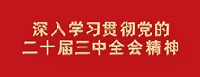 學(xué)習(xí)貫徹黨的二十屆三中全會(huì)精神